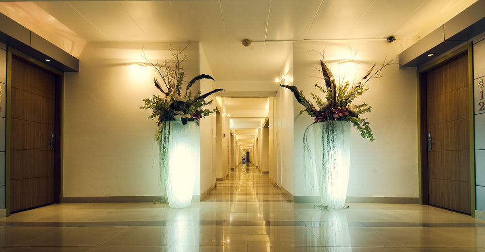 Radisson Hotel פרמריבו מראה חיצוני תמונה